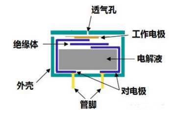  Electrochemical gas sensor
